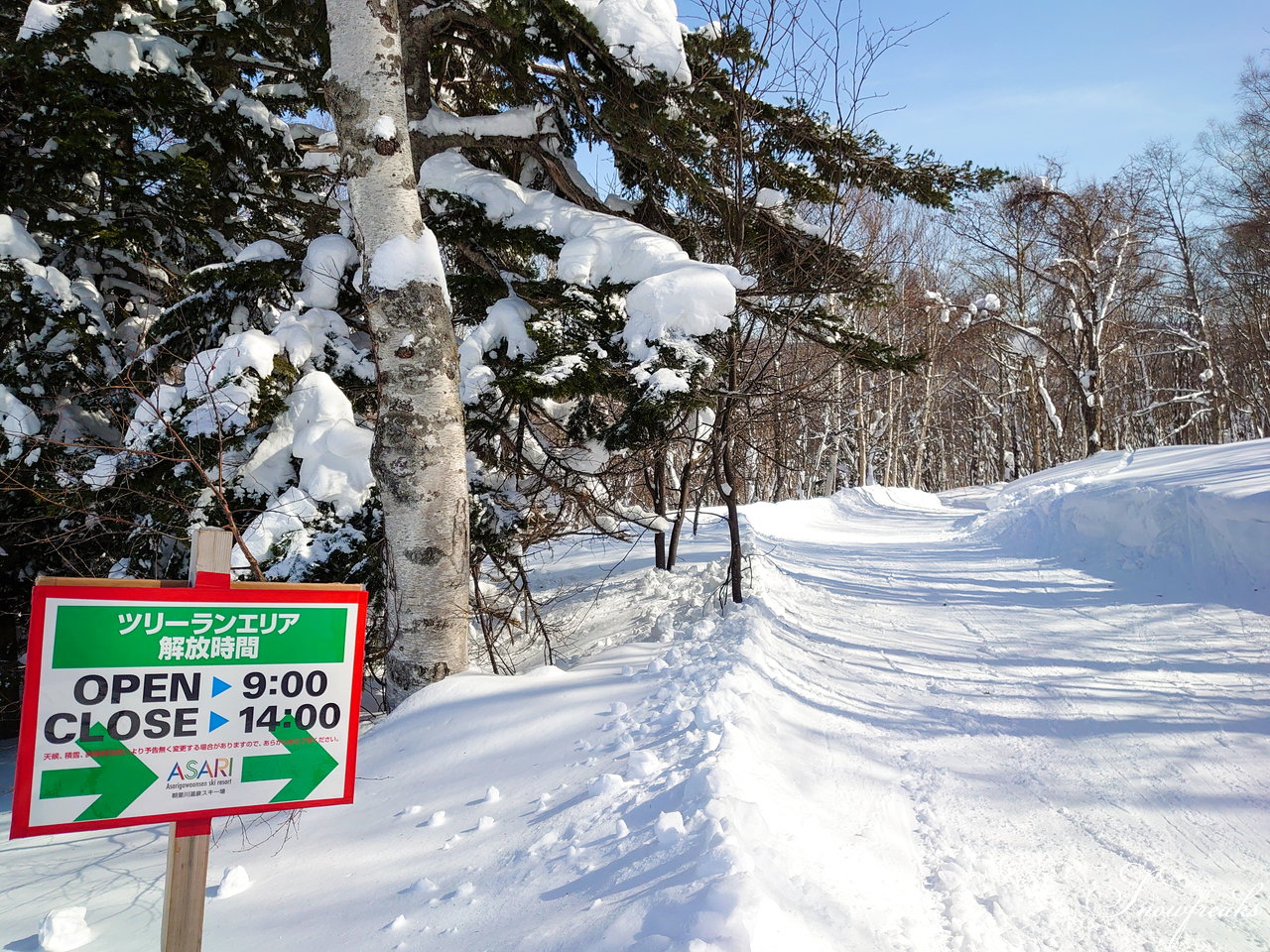 朝里川温泉スキー場　全長４km超のダウンヒル！今季誕生した新エリア『ツリーランゾーン』→『ホワイトライン』を滑ってみました(*^^)v